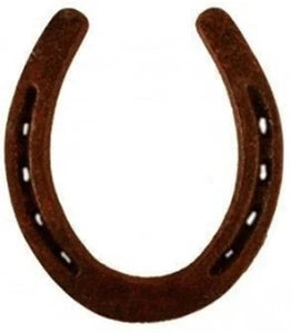 Shani Black Horseshoe (Ghode ki Naal)